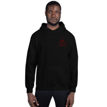 Load image into Gallery viewer, Unisex Hoodie Embroidered